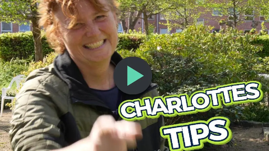 Tips med Charlotte